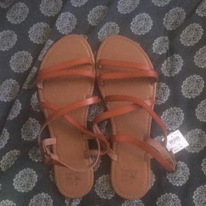 Women’s size 13 sandals